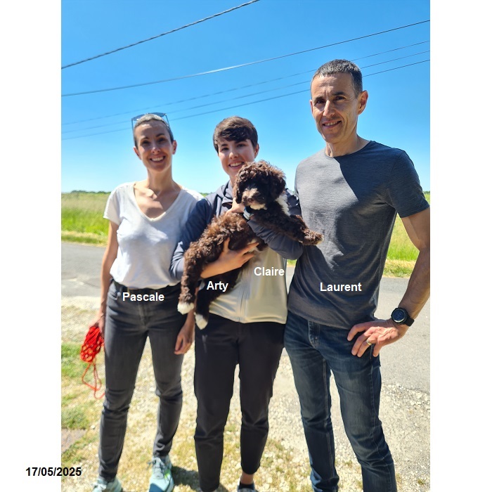 chiot chien d'eau portugais