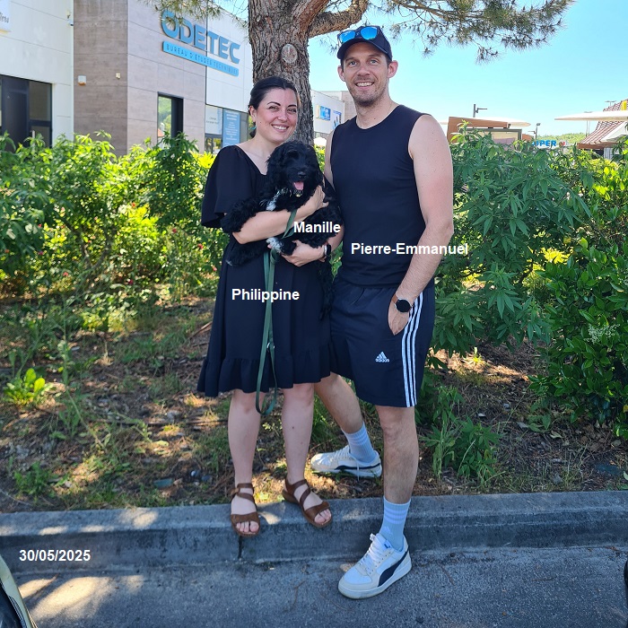 chiot chien d'eau portugais