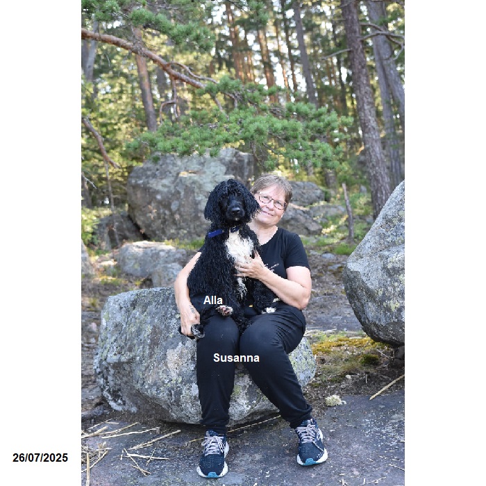 chiot chien d'eau portugais