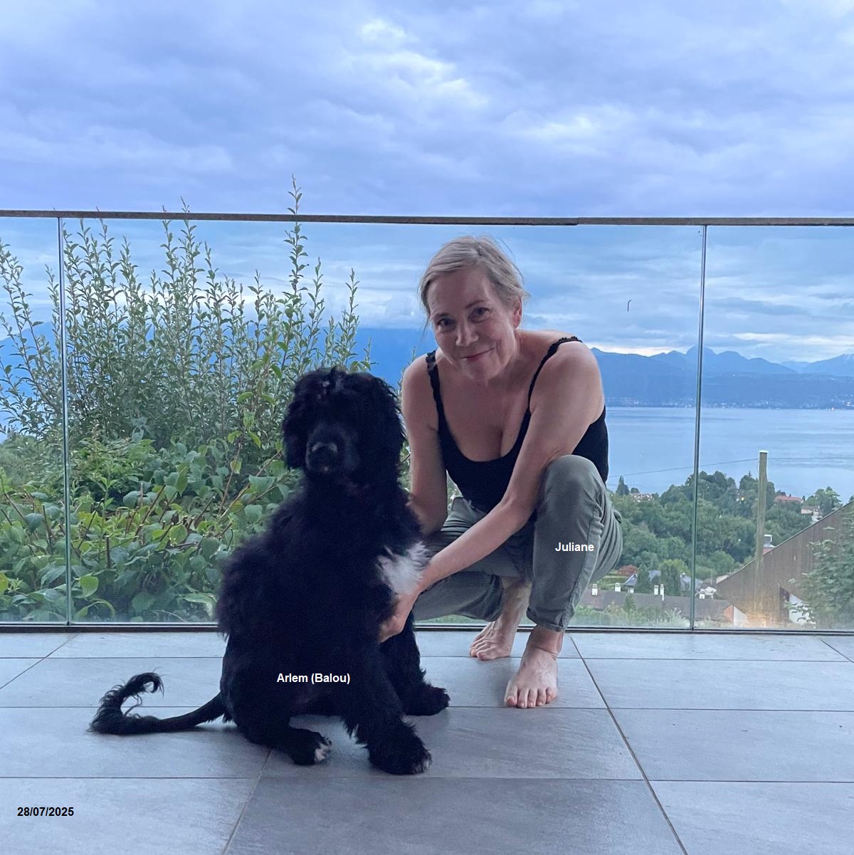 chiot chien d'eau portugais