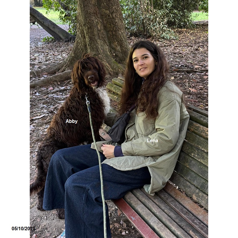 chiot chien d'eau portugais